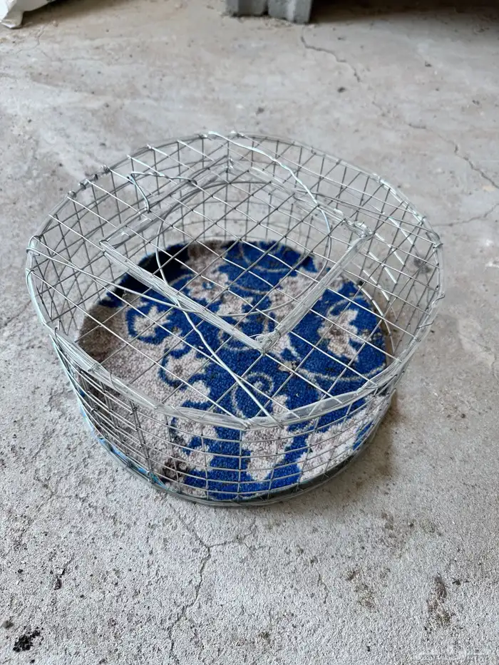 اقفاص وخشب حمام 0