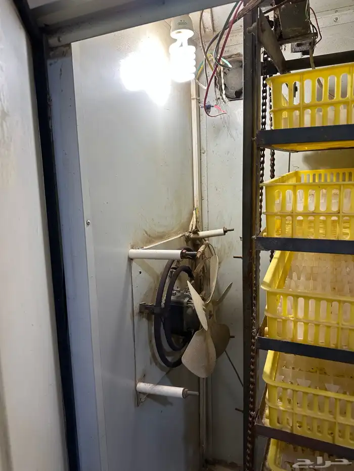 فقاسة اتماتيك 1