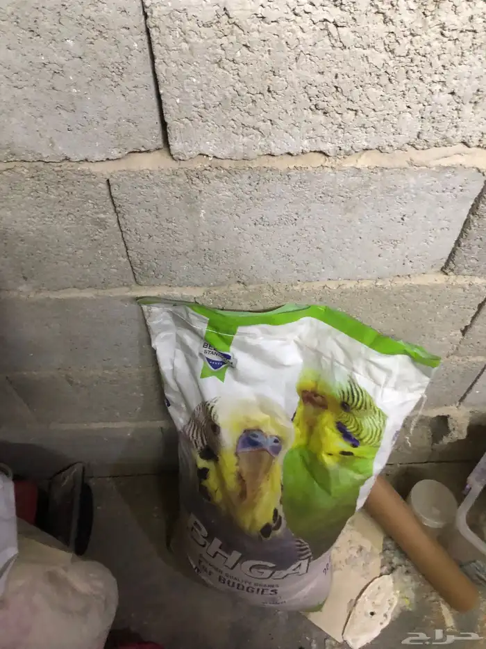 بادعي العدد7مع كيس اكل مع قفص601 سوم 3