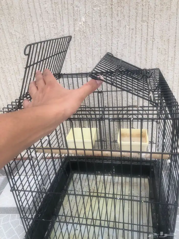 قفص بغبغاء 0