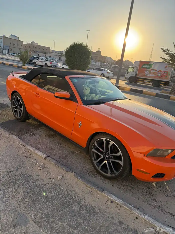 موستنج 2012 0