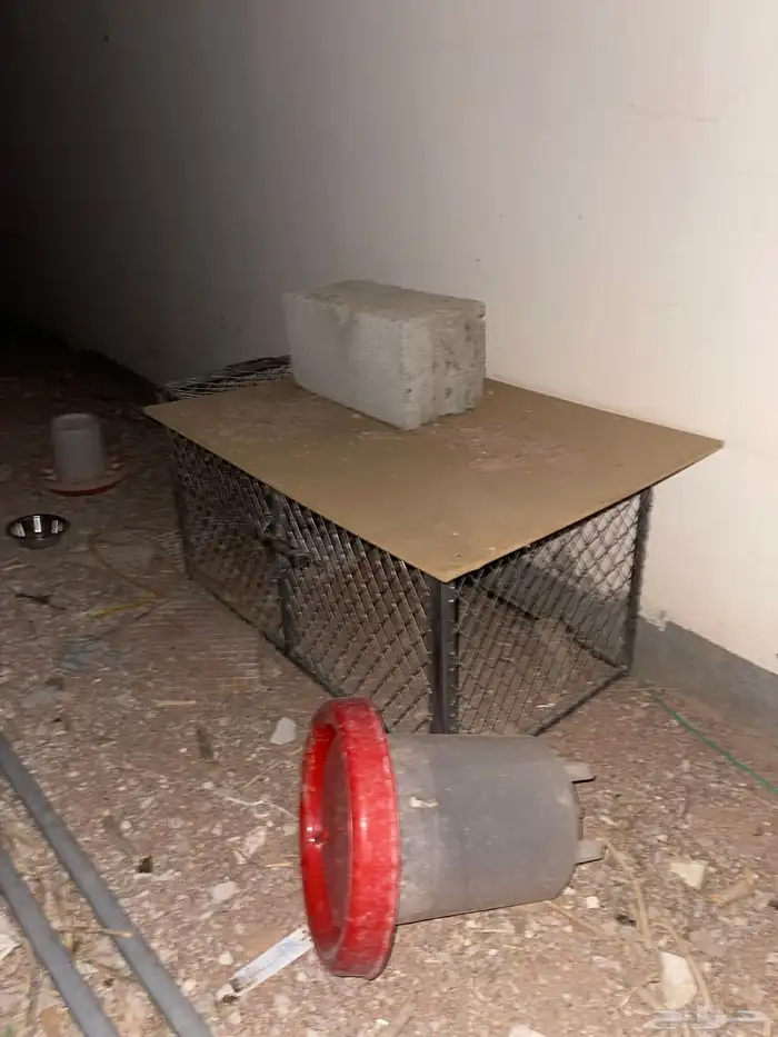 شبوك مع فقاسات للبيع 3
