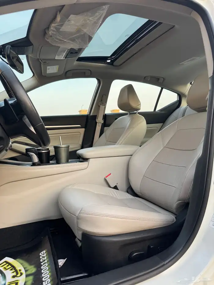 التيماء 2022 SL 11