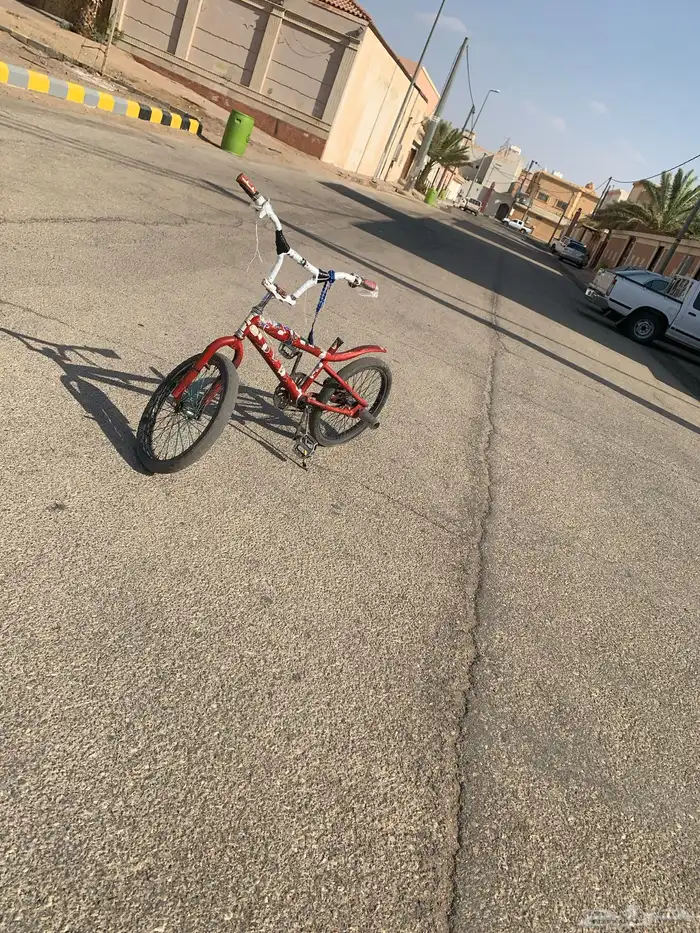 كوبرا احمر للبيع 4