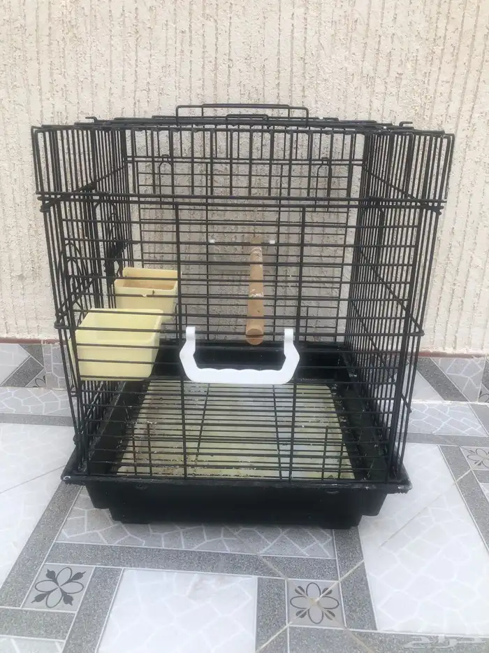 قفص بغبغاء 1