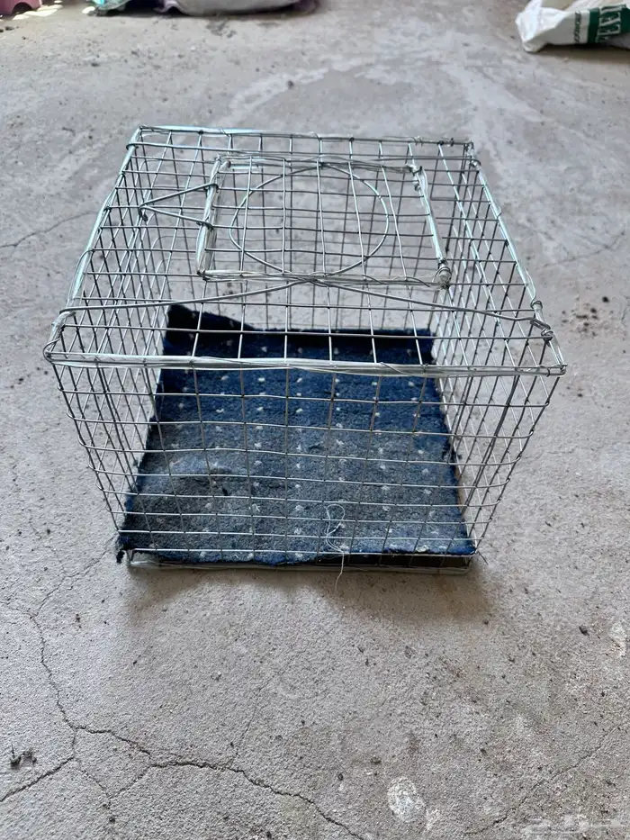 اقفاص وخشب حمام 1