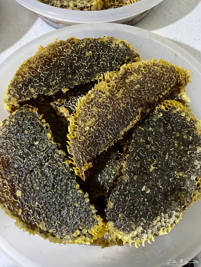 عسل شمع القنفذه 1