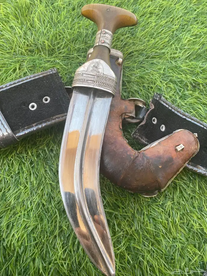 جنبيه زراف مشروطه 6