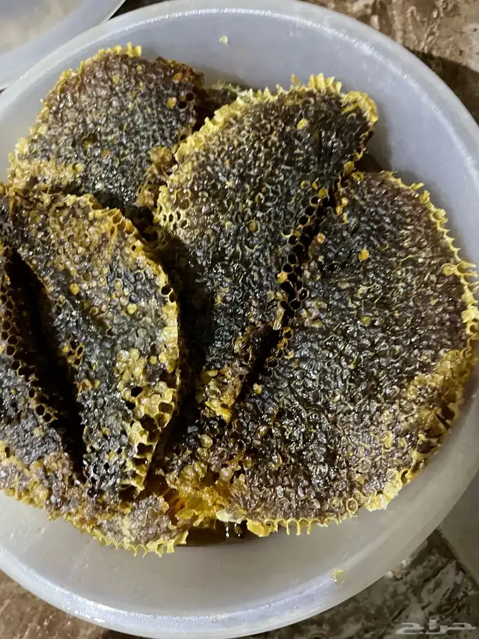 عسل شمع القنفذه 2