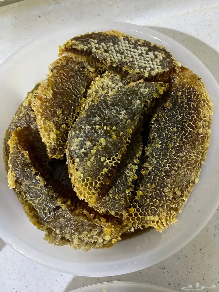 عسل شمع القنفذه 3