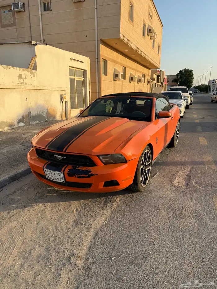 موستنج 2012 1
