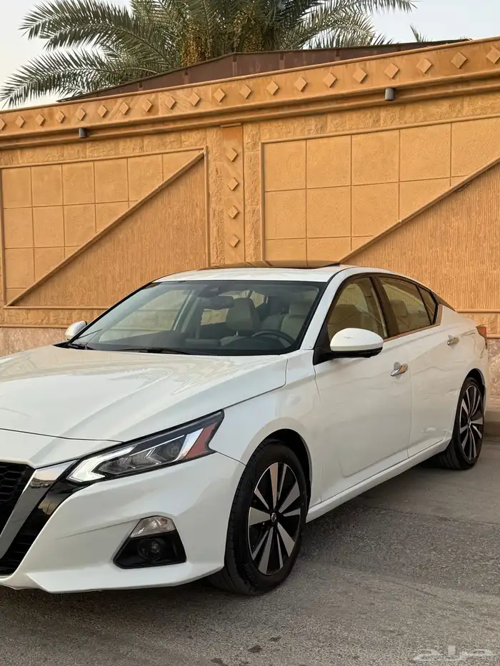 التيماء 2022 SL 5