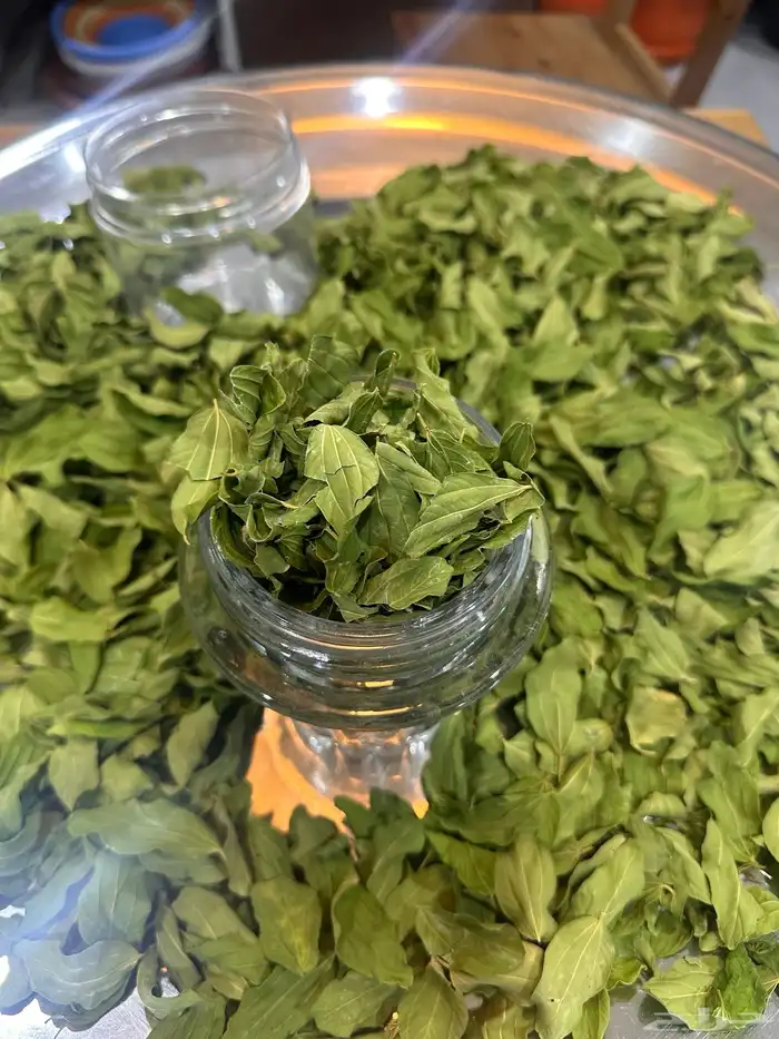 ابيع السدر من سدرتي الخاصه للطلب على الخاص 1