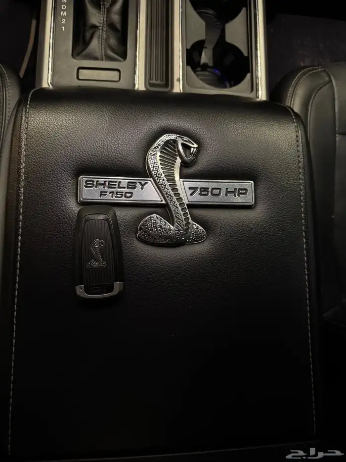 فورد f150 Shelby 750 hp 15