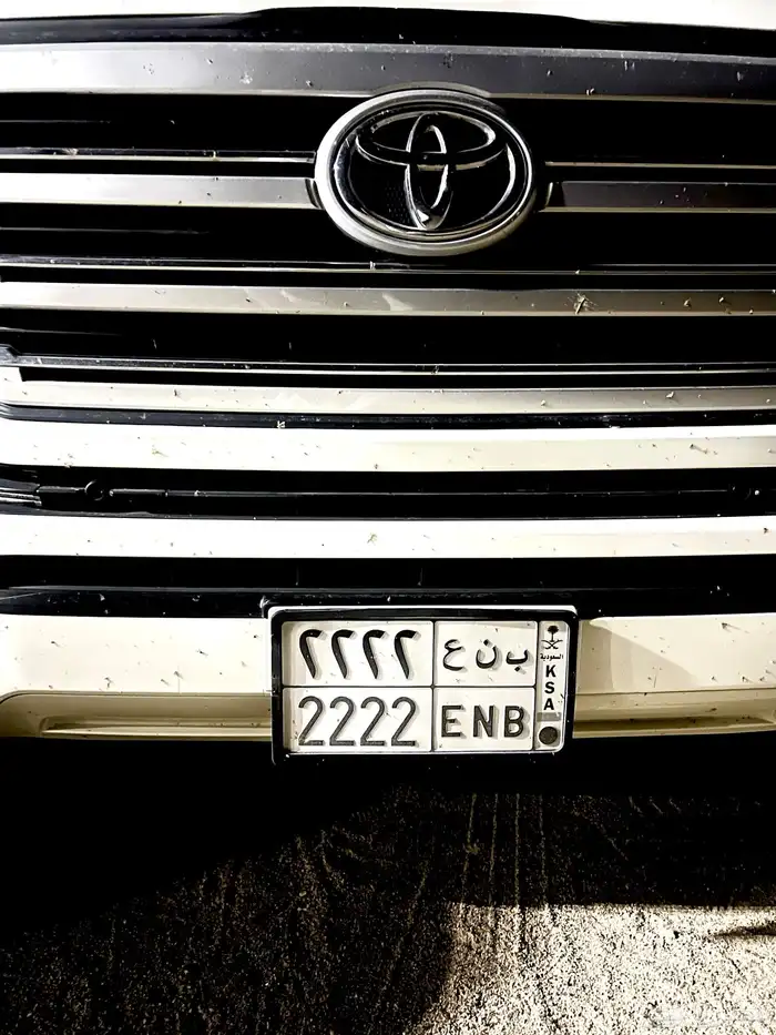 لوحة مميزة 2 للبيع 1