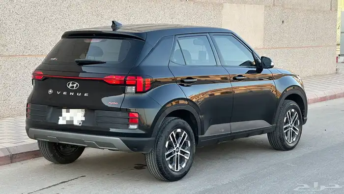 فينو 2023 4
