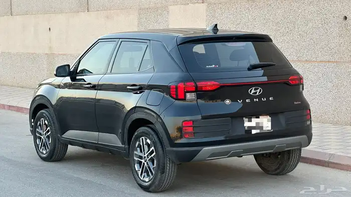 فينو 2023 1