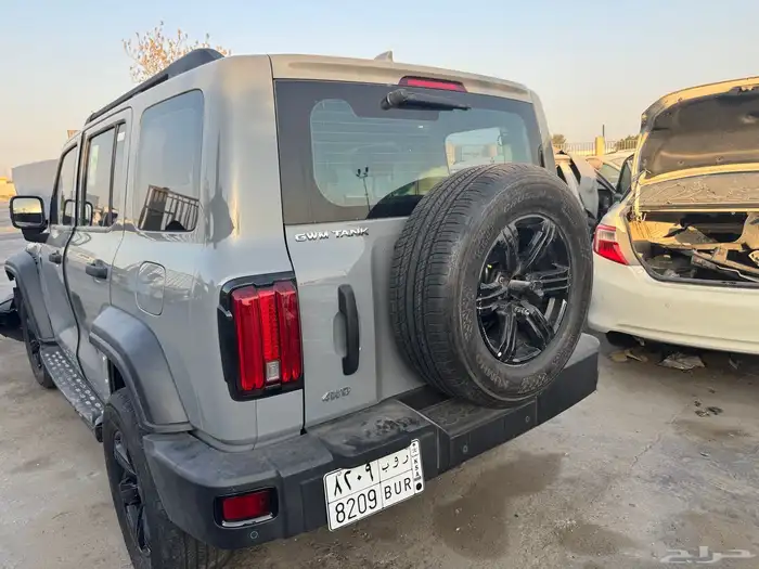 هافال تنك 25 0