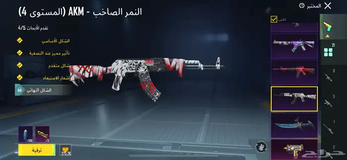 حساب ببجي قوي 6