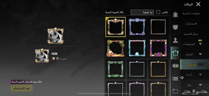 حساب ببجي 13