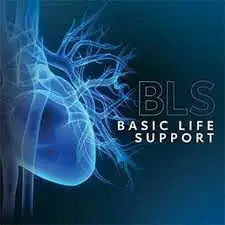 ابي دورة BLS في الباحه او شهادة BLS معتمده 0