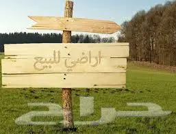 نصف ارض للبيع جوهرة العروس 2ج 0