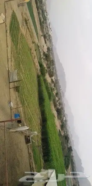 مزرعة للبيع في محايل عسير 0