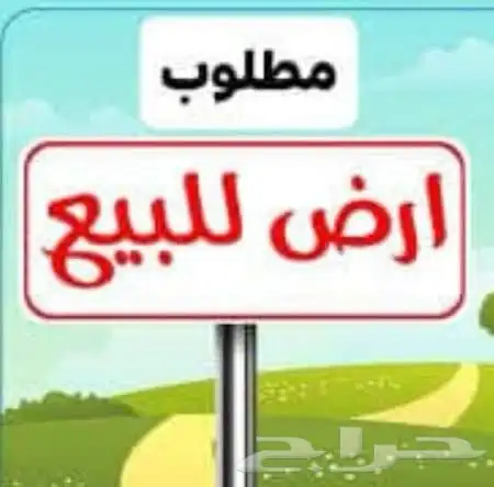 مطلوب ارض او بيت شعبي 0