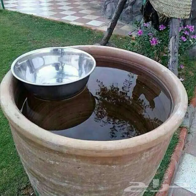 ظهران الجنوب 0