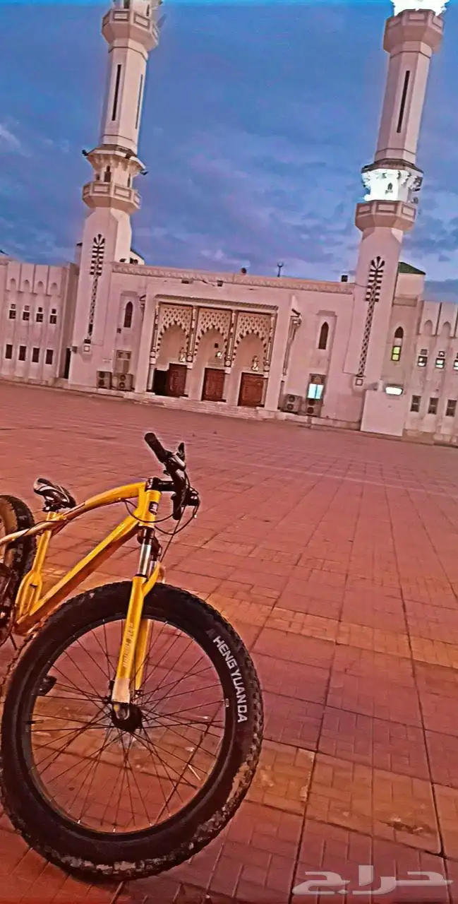 cycle for sale 1