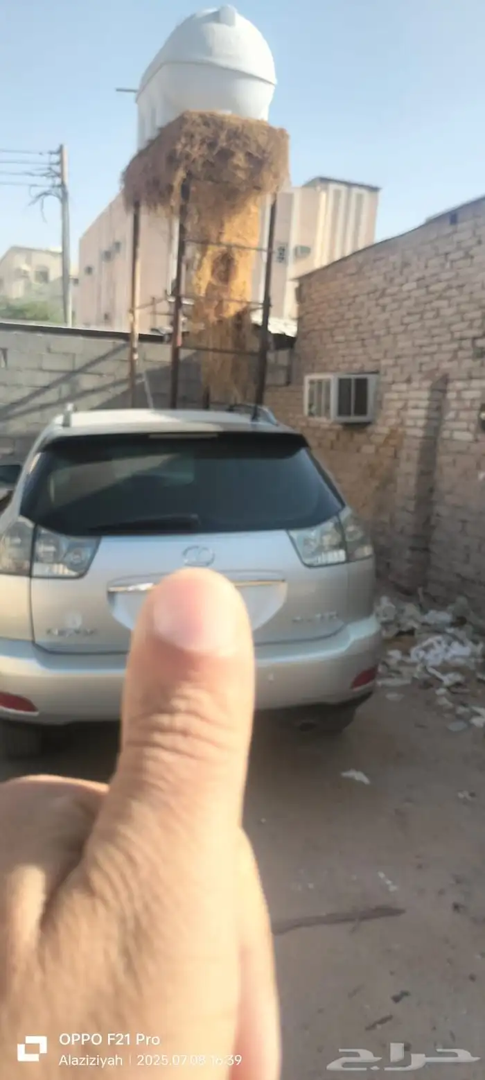 Lexus RX 350 2008 5