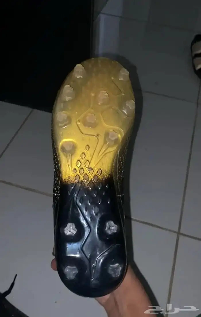 ينبع البحر 0