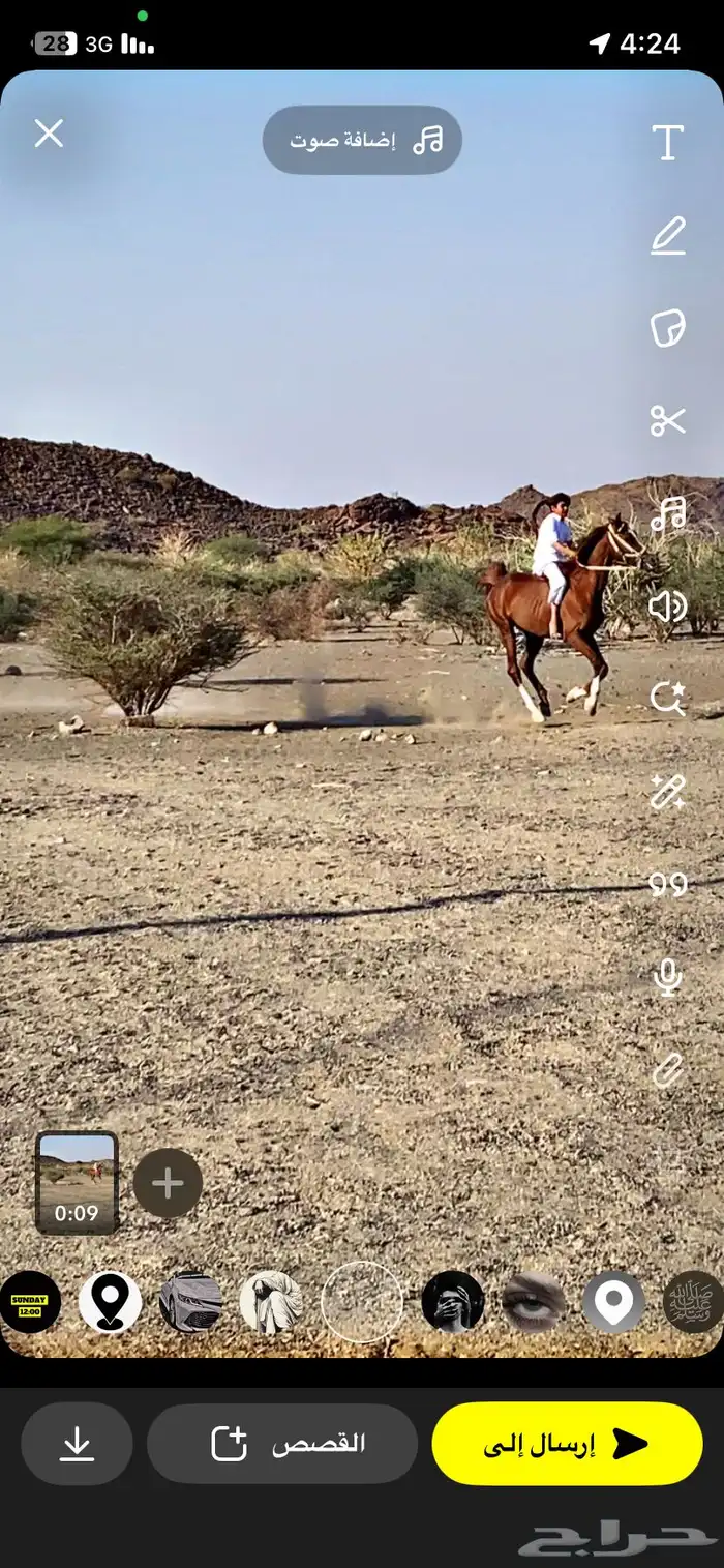 حصان للبيع عربي 2