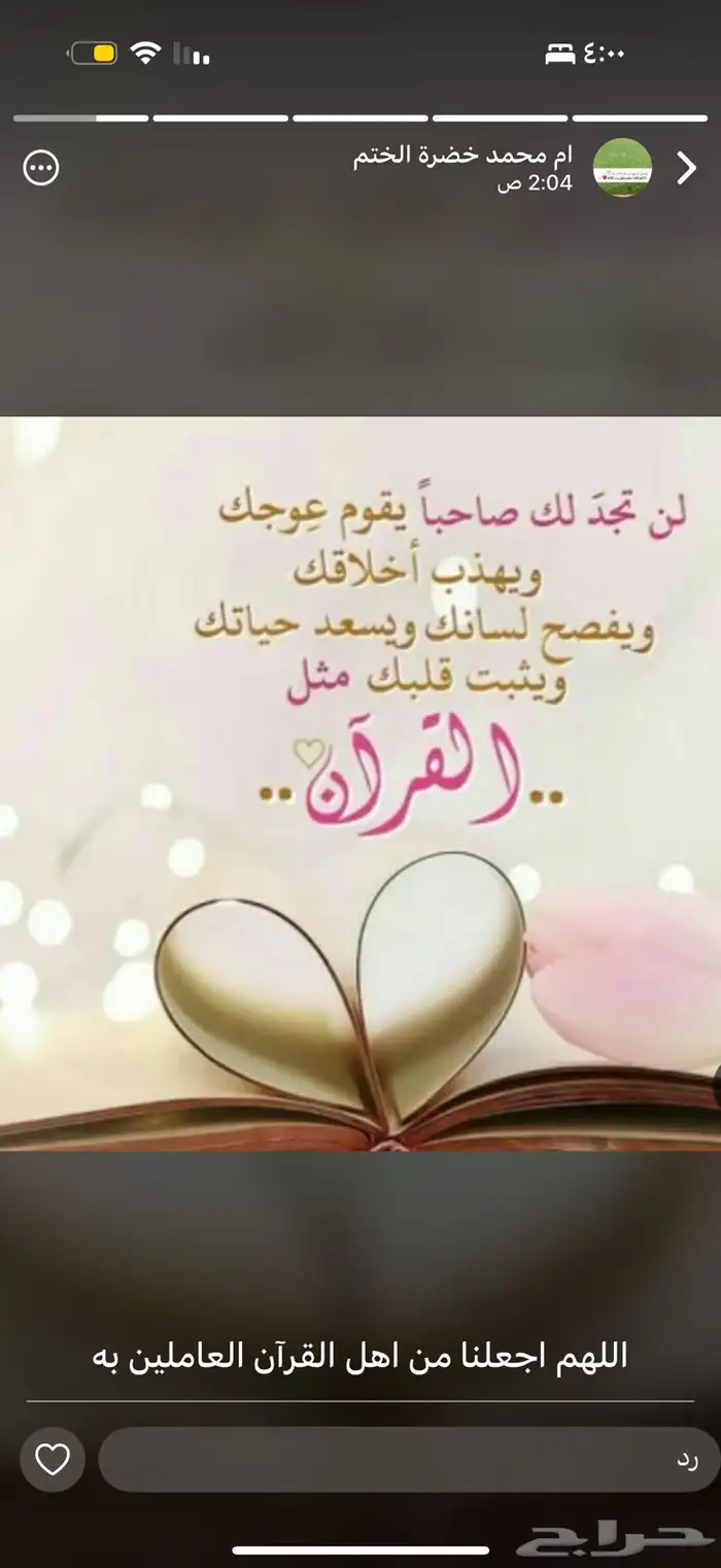 معلمة تاسيس ومتابعه حي المنصوره خنشليله 0