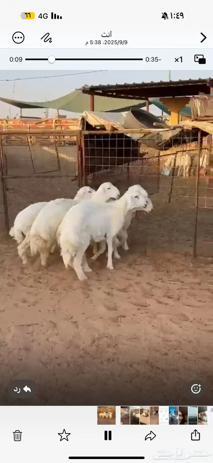 ذبايح 0