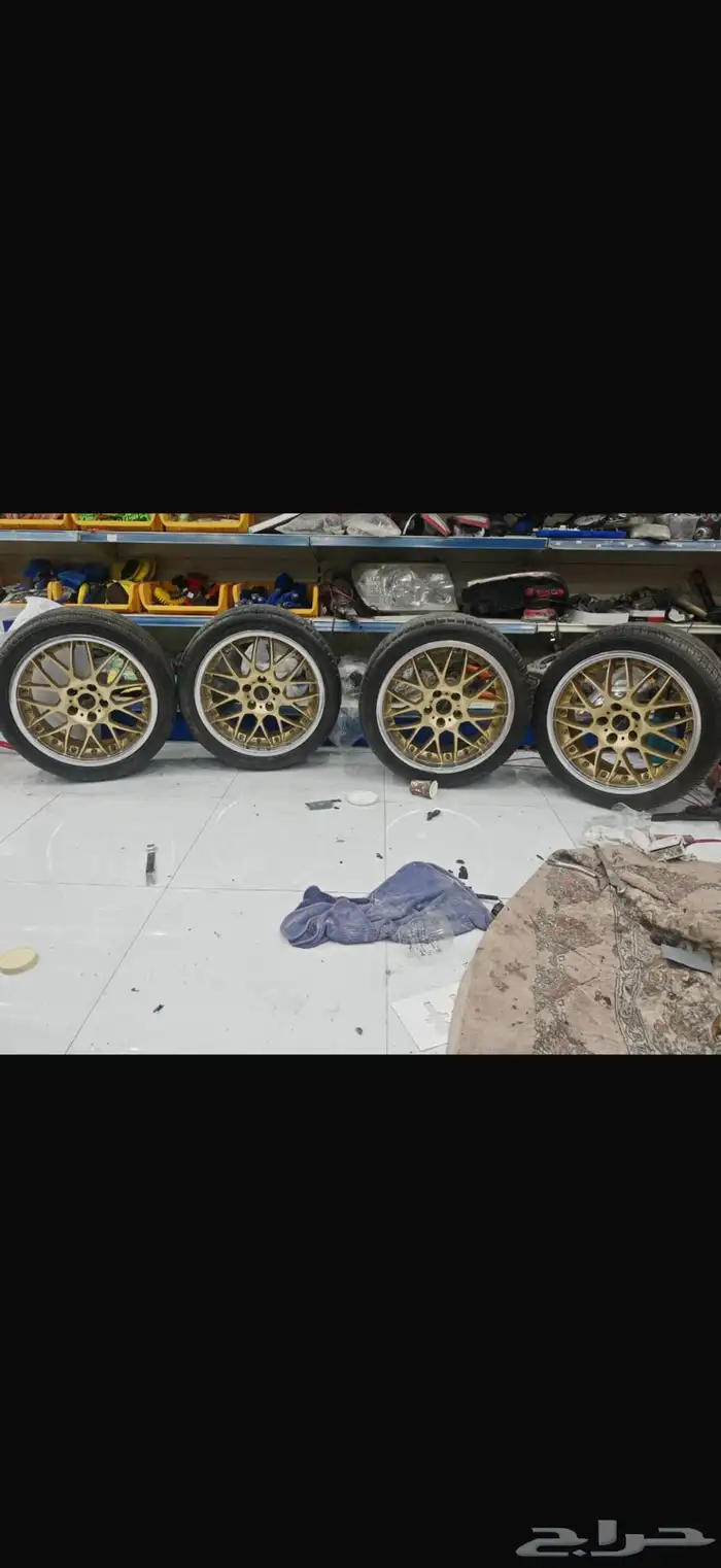 جنوط مقس 18 1