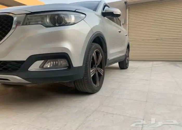 MG2019 3