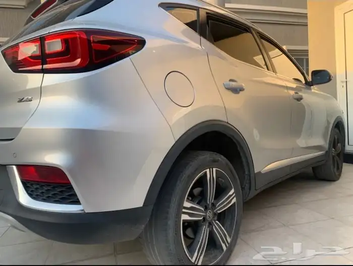 MG2019 5