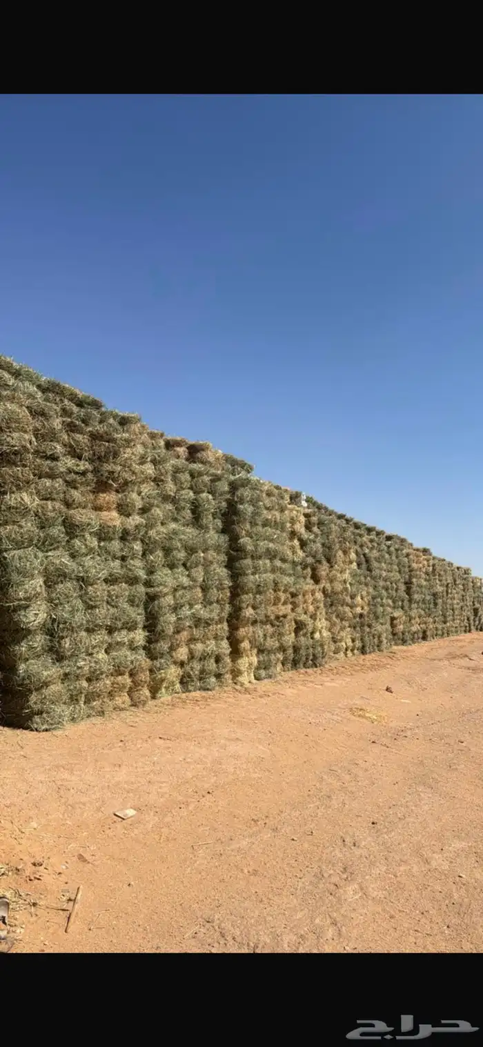 علف بونكام ناعم ممتاز جدا  شد وربط اقل كميه بيع تريله 1