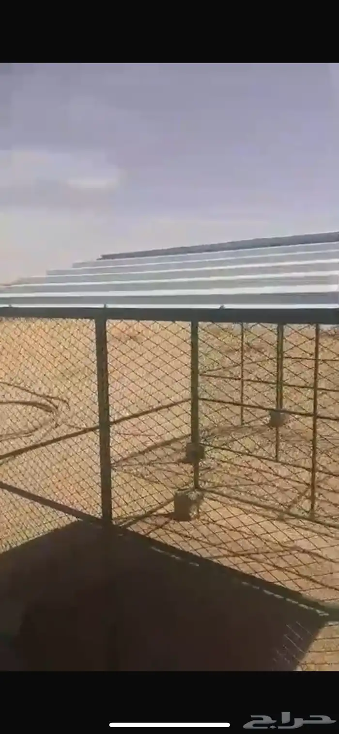 شبك حمام أو دجاج 1