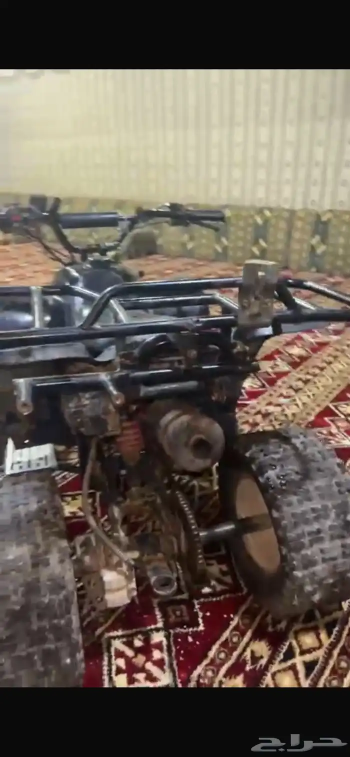 دباب 2