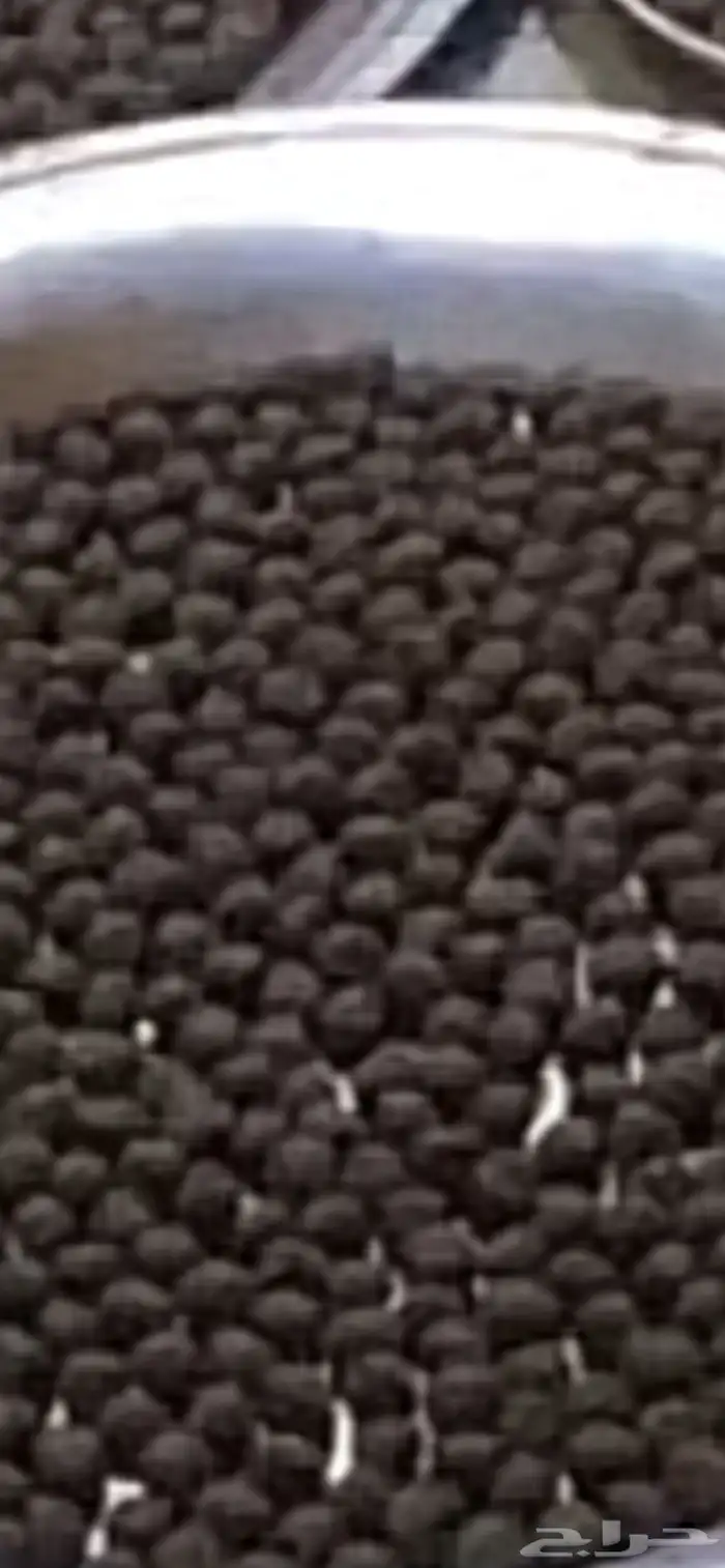 دخون ورشوش ومفارش الرداء. وخمريات 1