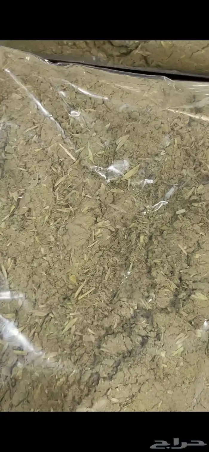 علف القمح 0