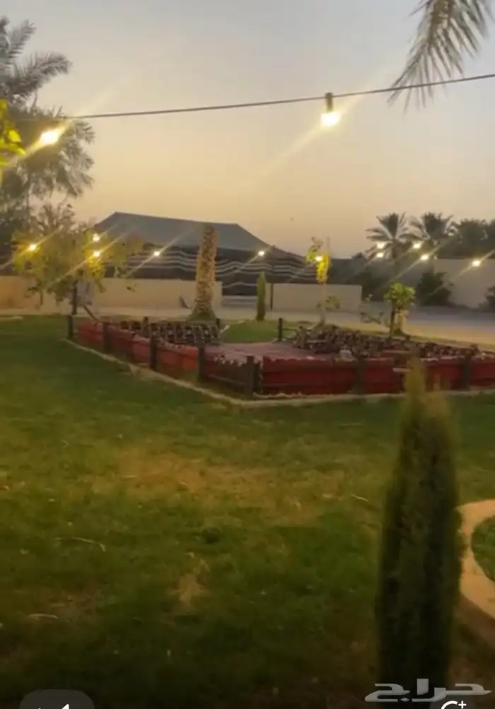 ذبايح وتجهيز جلسات 4