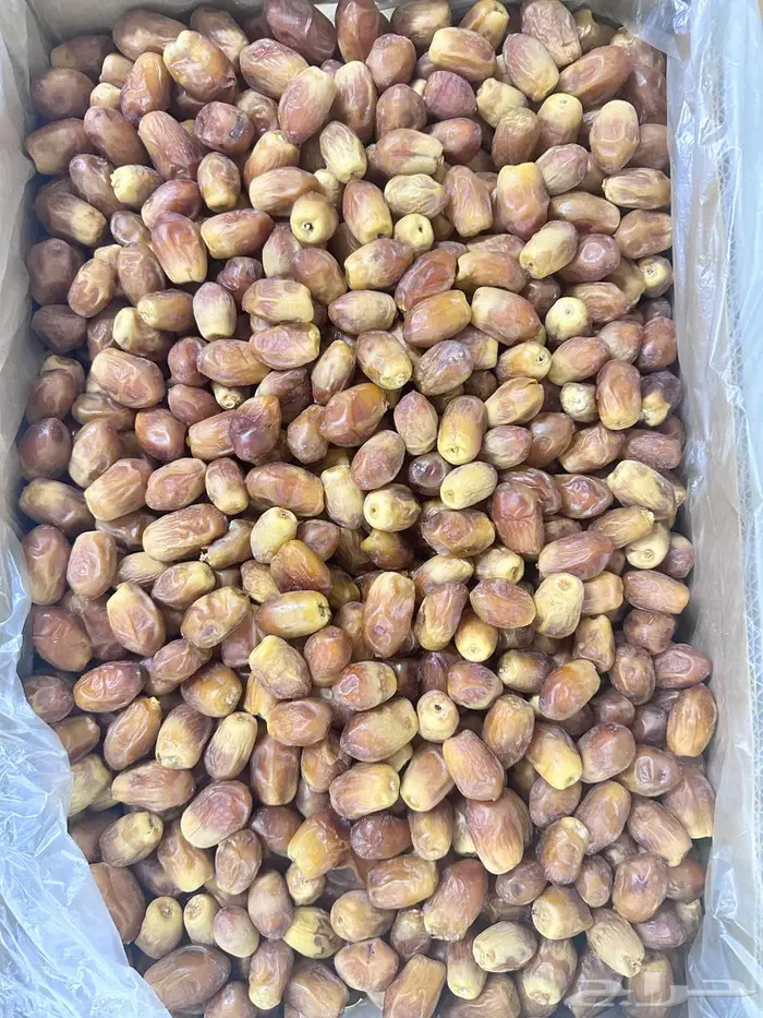 تمر لبانة للبيع 0