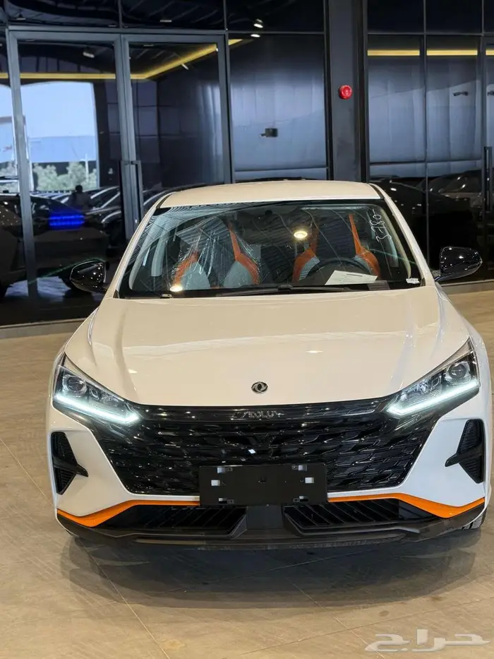 عرض خاص دونج فينج شاين E1 2025 3