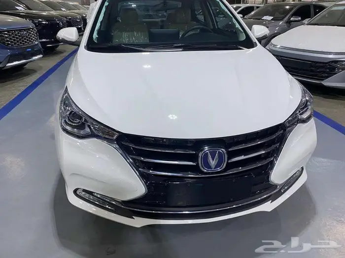 شانجان ال سفن فل كامل 2026 18