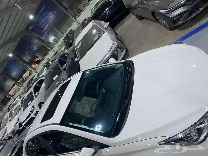 شانجان ال سفن فل كامل 2026 19