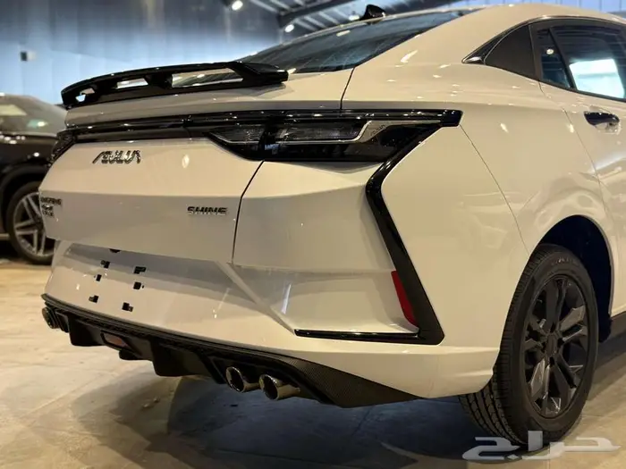 عرض خاص دونج فينج شاين E1 2025 10