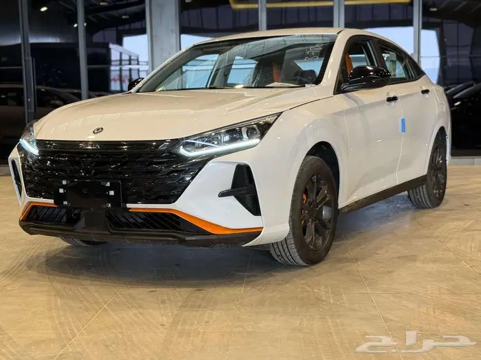 عرض خاص دونج فينج شاين E1 2025 0